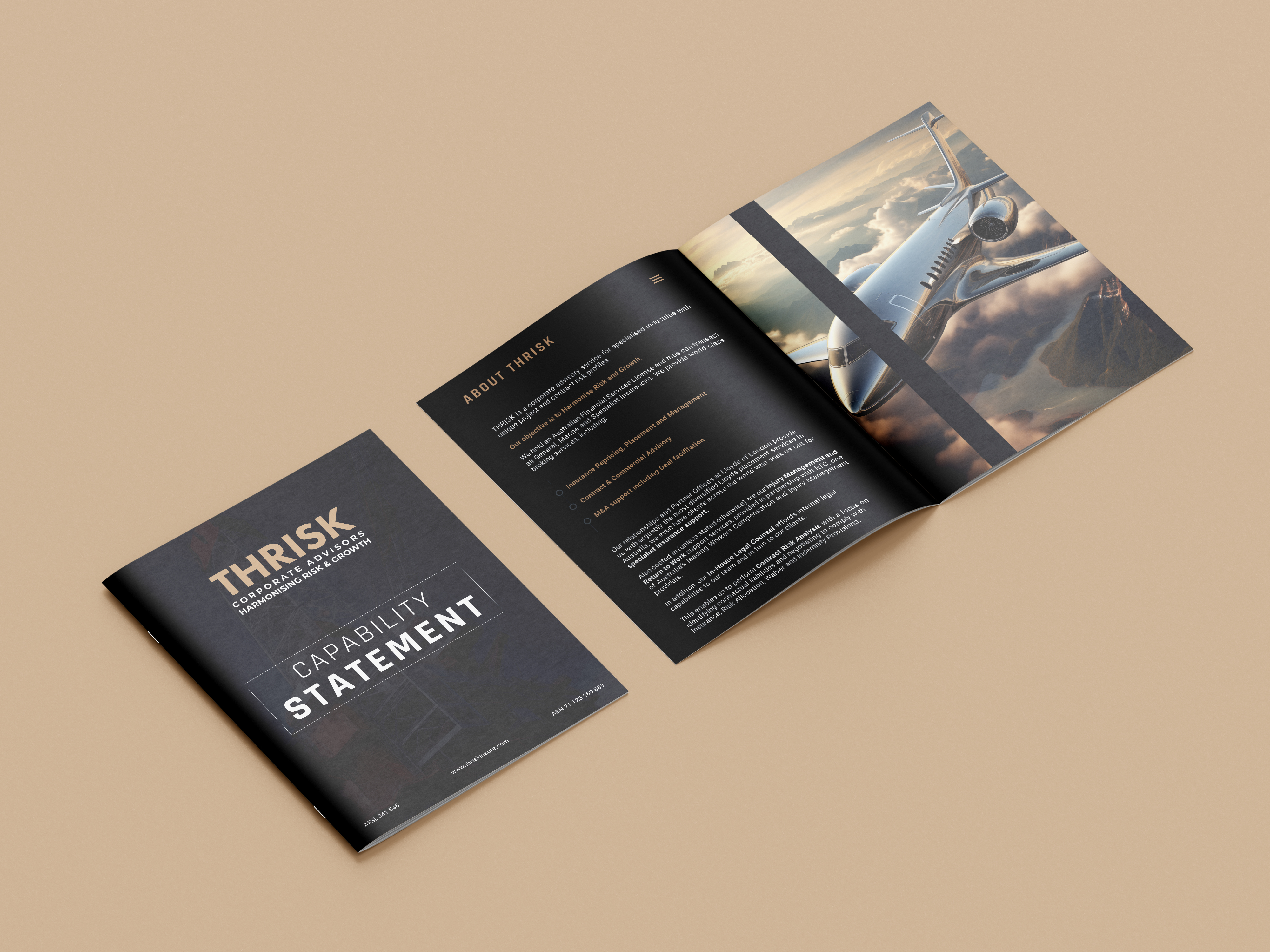 THRISK Capability Statement