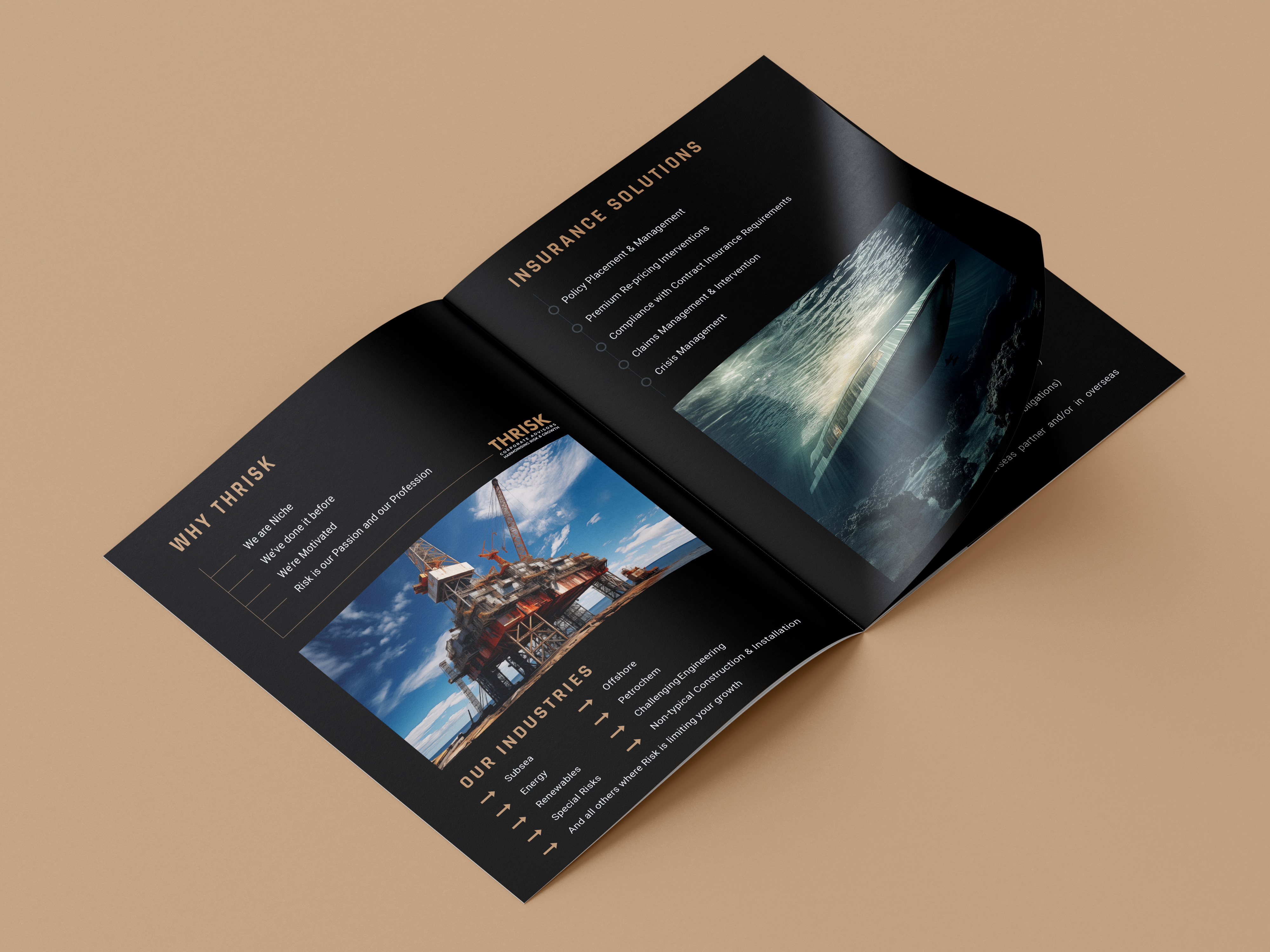 THRISK Capability Statement