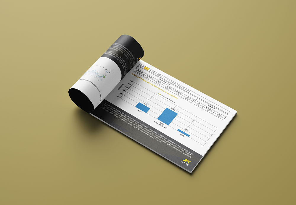 Exness Quarterly Report